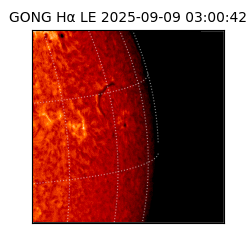 gong - 2025-09-09T03:00:42