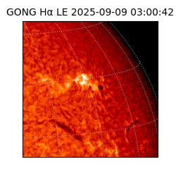 gong - 2025-09-09T03:00:42