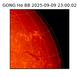gong - 2025-09-09T23:00:02
