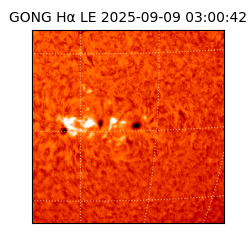 gong - 2025-09-09T03:00:42
