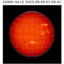 gong - 2025-09-09T03:00:42