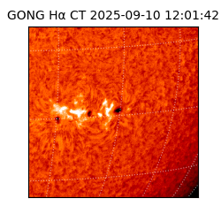 gong - 2025-09-10T12:01:42