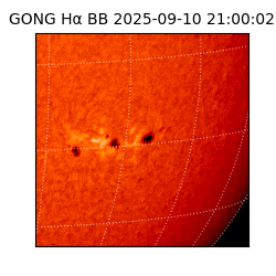 gong - 2025-09-10T21:00:02