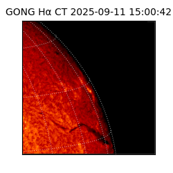 gong - 2025-09-11T15:00:42