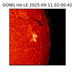 gong - 2025-09-11T02:00:42