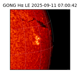 gong - 2025-09-11T07:00:42