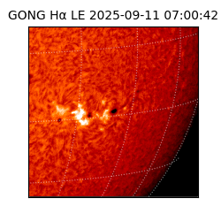 gong - 2025-09-11T07:00:42