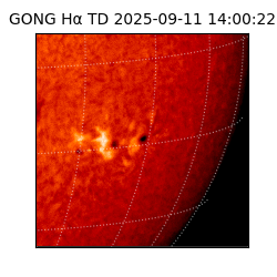 gong - 2025-09-11T14:00:22