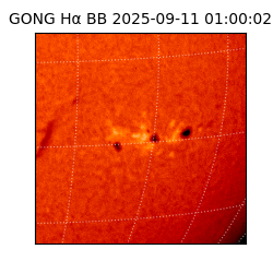 gong - 2025-09-11T01:00:02