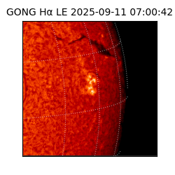 gong - 2025-09-11T07:00:42