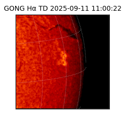 gong - 2025-09-11T11:00:22