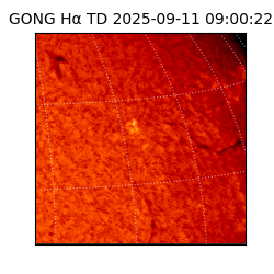 gong - 2025-09-11T09:00:22