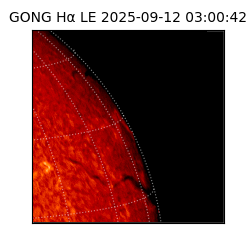 gong - 2025-09-12T03:00:42