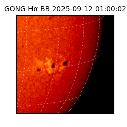 gong - 2025-09-12T01:00:02