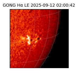 gong - 2025-09-12T02:00:42