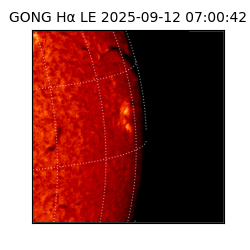 gong - 2025-09-12T07:00:42