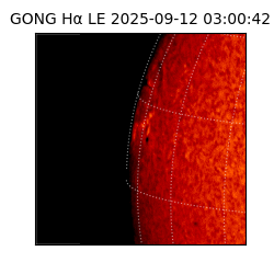 gong - 2025-09-12T03:00:42