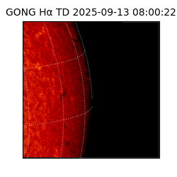 gong - 2025-09-13T08:00:22