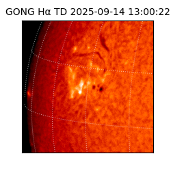 gong - 2025-09-14T13:00:22