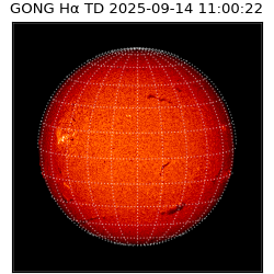 gong - 2025-09-14T11:00:22
