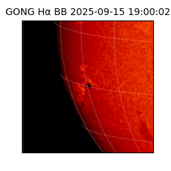 gong - 2025-09-15T19:00:02