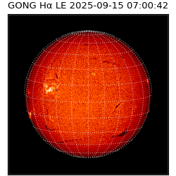 gong - 2025-09-15T07:00:42