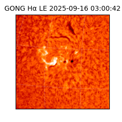 gong - 2025-09-16T03:00:42