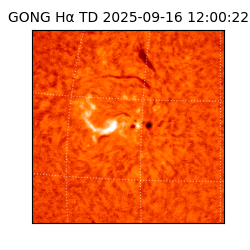 gong - 2025-09-16T12:00:22