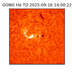 gong - 2025-09-16T14:00:22