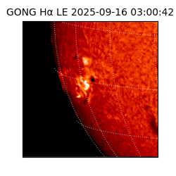 gong - 2025-09-16T03:00:42