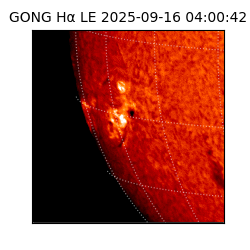 gong - 2025-09-16T04:00:42