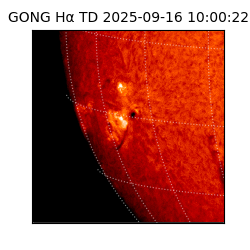 gong - 2025-09-16T10:00:22
