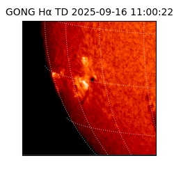 gong - 2025-09-16T11:00:22