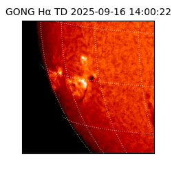 gong - 2025-09-16T14:00:22