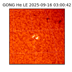 gong - 2025-09-16T03:00:42