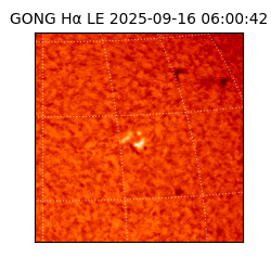 gong - 2025-09-16T06:00:42