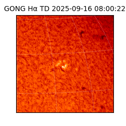 gong - 2025-09-16T08:00:22