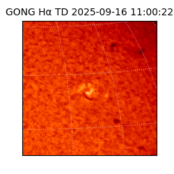 gong - 2025-09-16T11:00:22