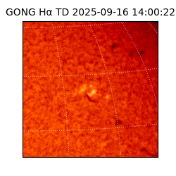 gong - 2025-09-16T14:00:22