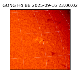 gong - 2025-09-16T23:00:02
