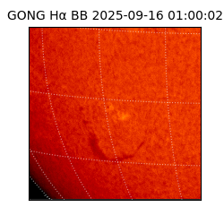 gong - 2025-09-16T01:00:02