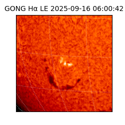 gong - 2025-09-16T06:00:42