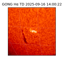 gong - 2025-09-16T14:00:22