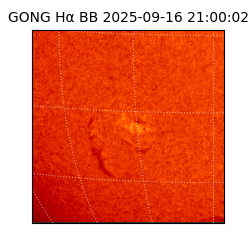 gong - 2025-09-16T21:00:02