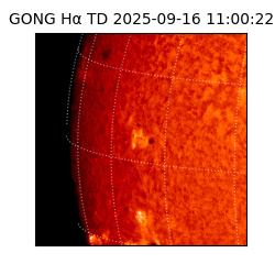 gong - 2025-09-16T11:00:22
