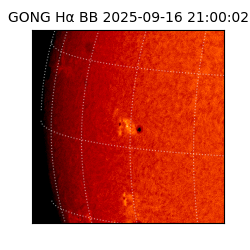 gong - 2025-09-16T21:00:02