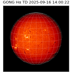 gong - 2025-09-16T14:00:22