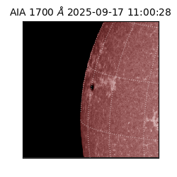 saia - 2025-09-17T11:00:28.718000