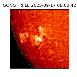 gong - 2025-09-17T08:00:42