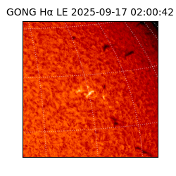 gong - 2025-09-17T02:00:42